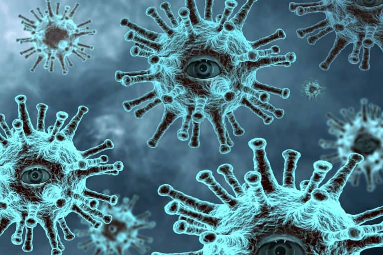 WHO: semmi sem támasztja alá, hogy az antitestek megvédik az embereket egy második COVID-19 fertőzéstől