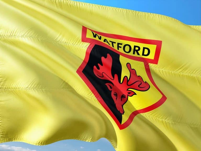 Premier League: a Watford elnöke sincs elragadtatva a semleges helyszín ötletétől