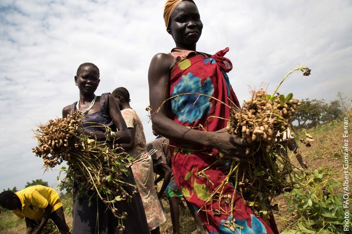 Szigorítanak a kikötővárosban, miután halálos törzsi konfliktus tört ki