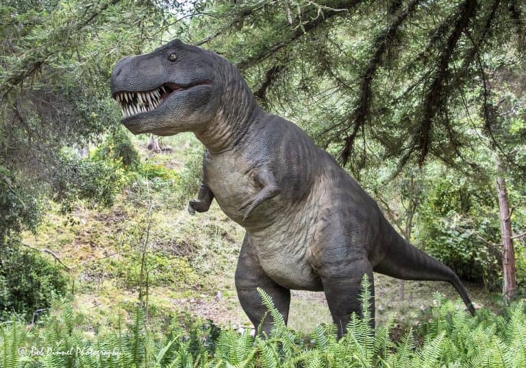 Eladó egy T-Rex csontváza, bár mélyen a zsebünkbe kell nyúlni hozzá