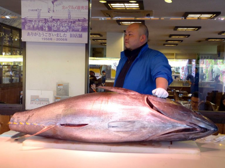 A világ legnagyobb tonhalpiacát is szétbombázta a koronavírus