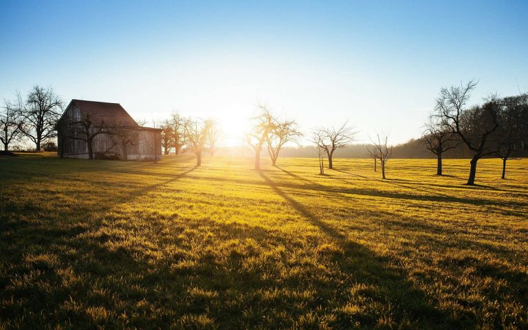 Demcsák Zsuzsa őszintén Gáspár Zsoltiról a Farm VIP előtt: hogy ebből mi lesz…