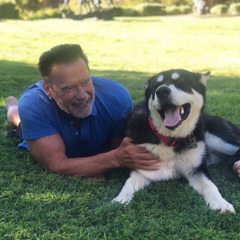 Schwarzenegger egy furgonban kapta meg a koronavírus elleni oltását