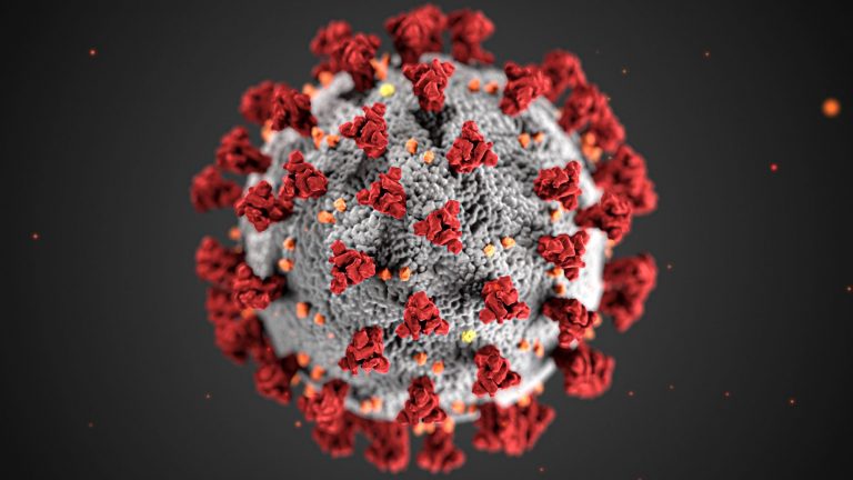 Egy tanulmány szerint az új mutációk nyolcszor fertőzőbbek, mint az eredeti vuhani vírus