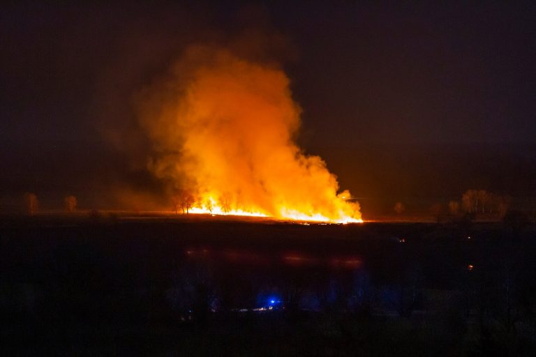 Vasárnap hajnalra oltották el a fonyódi nádtüzet