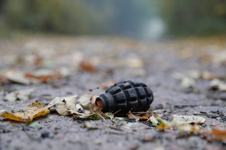 Krumpli helyett több tucat gránátot ástak ki a földből