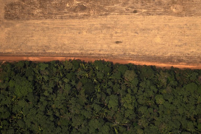 A Facebookon árulják az Amazonas-esőerdő egyes részeit, ez ellen pedig nem is tesznek semmit