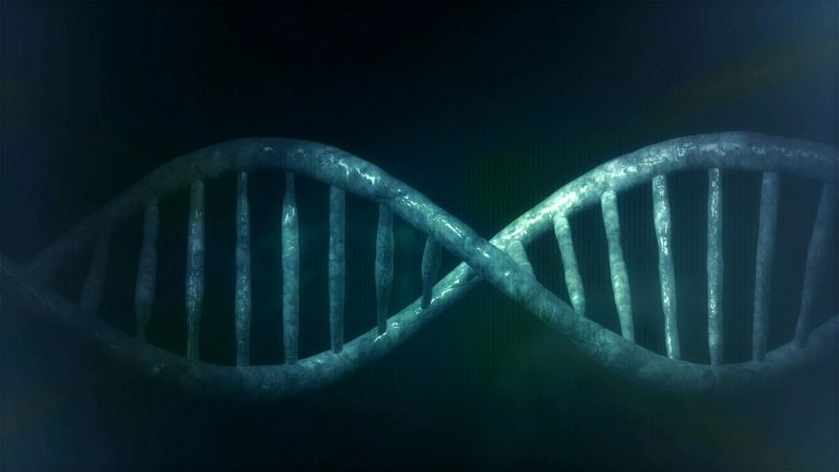 Kvantumrészecskékkel mutációra kényszeríthető az emberi DNS
