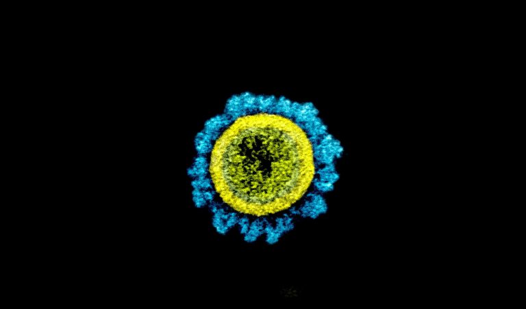 Újabb hibrid koronavírus-mutációt fedeztek fel, ezúttal Japánban