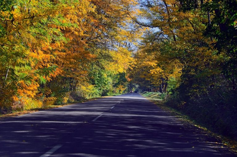 Továbbra is kellemes arcát mutatja az ősz