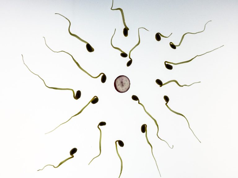 Nem maradt elég spermium, harminc év múlva kipusztulhat az emberiség