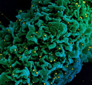 Mégsem halálosabb és még csak nem is ragályosabb a brit koronavírus-mutáció az alapváltozathoz képest