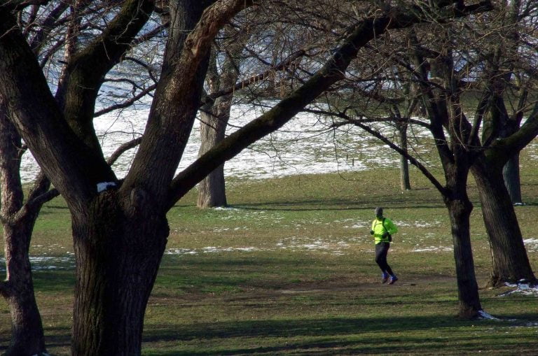 Hat új közpark létesülhet idén Budapesten