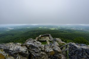 Az OMSZ külön nyomatékosan kérte, hogy Anyák Napján legyen rájuk is tekintettel