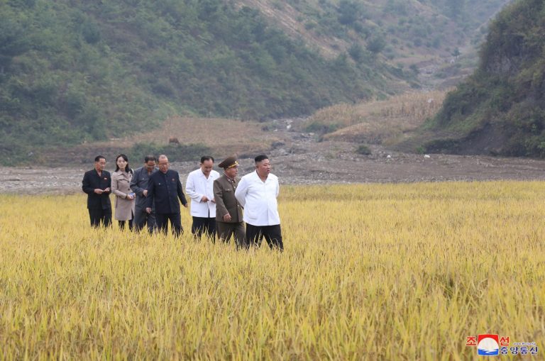Akkor a műtrágyahiány, hogy a farmerektől kérnek vizeletet Észak-Koreában