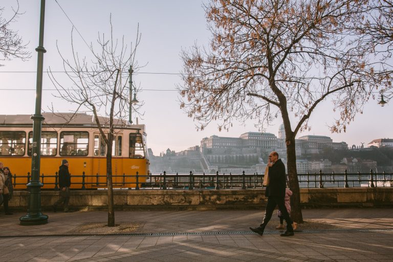 A fővárosban és Pest megyében is károkat okozott a viharos szél