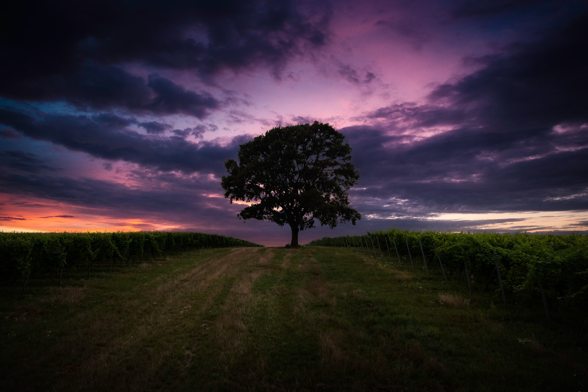 Különleges jelenség alakult ki Magyarország felett