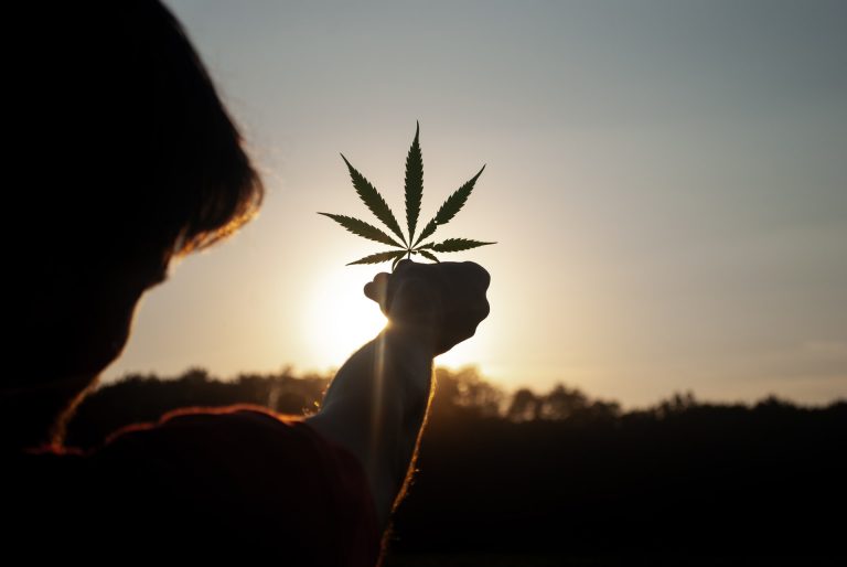 Egyre többen nyúlnak kannabiszhoz a koronavírus-járvány lelki terheinek enyhítése miatt