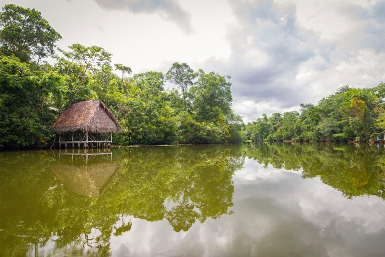 Illegálisan kereskedhetett az Amazonasban kivágott fákkal a brazil környezetvédelmi minisztérium