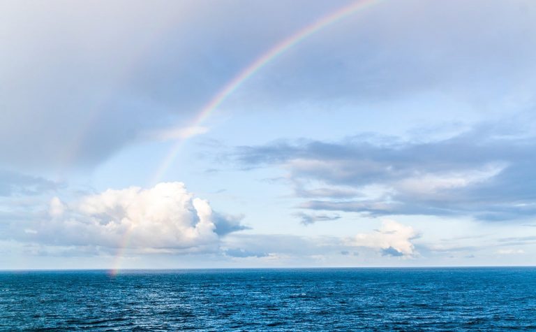 Bocsánatot kért a Pride-on halálos balesetet okozó autó sofőrje