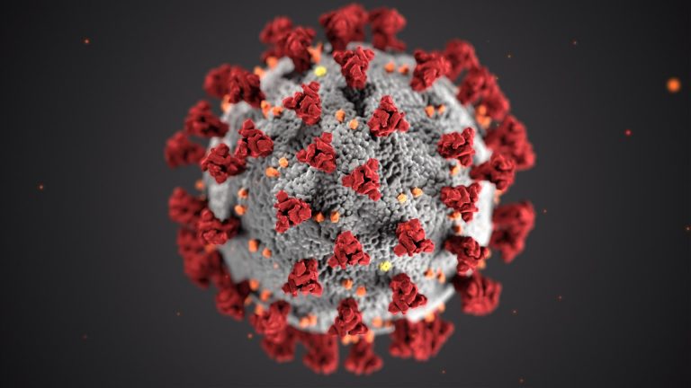 Nem a koronavírus, hanem egy másik kórokozó felelős az elhúzódó covid-betegségért