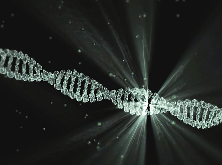 Szúnyog DNS-sé alakították az emberi DNS-t holland genetikusok