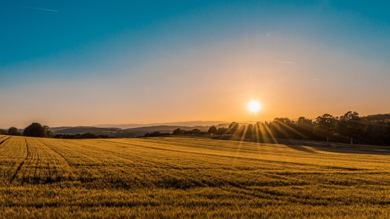 Hőségriadó lép életbe kedden