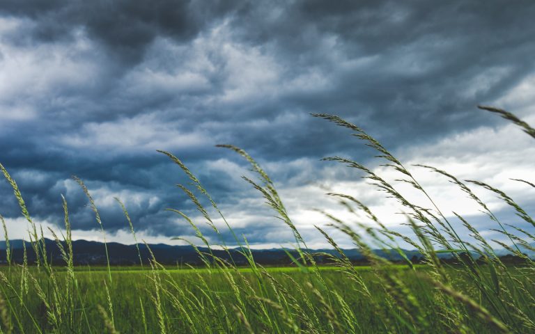 Megérkezett az enyhülés, szeles időre számíthatunk