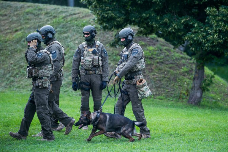 Razziázott a NAV, három áfacsaló bűnszervezetet is felszámolt