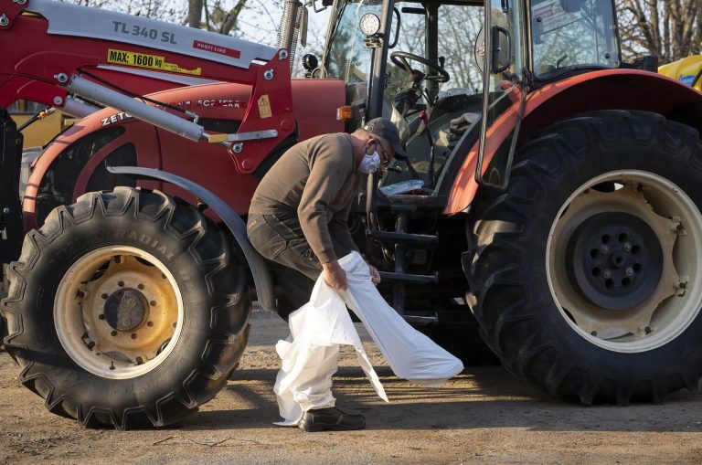 Agykárosodást okozó rovarirtó miatt indult nagyívű per Kaliforniában