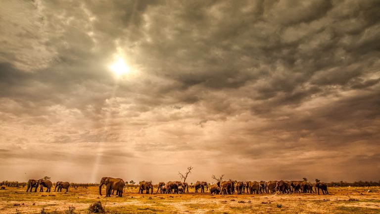 70 éve nem volt ilyen hideg egy dél-afrikai országban