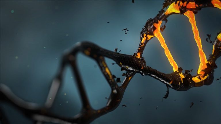Minden idők leghosszabb DNS-molekuláját fedezték fel a tudósok