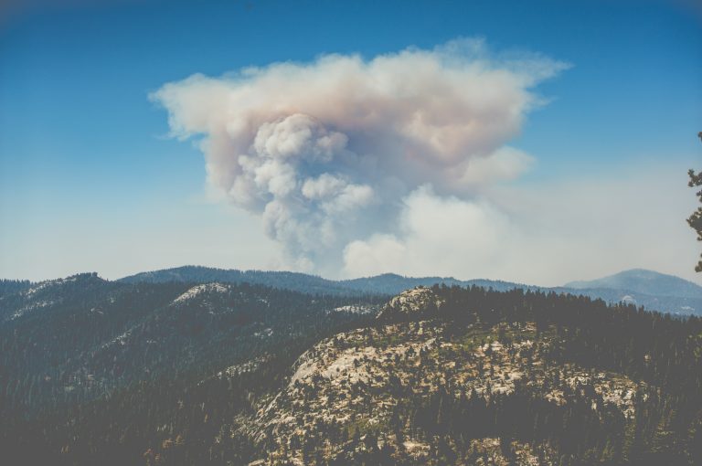 Több tízezer hektáron égett az erdő Kaliforniában, az erdészeti szolgálat úgy döntött, inkább hagyja leégni