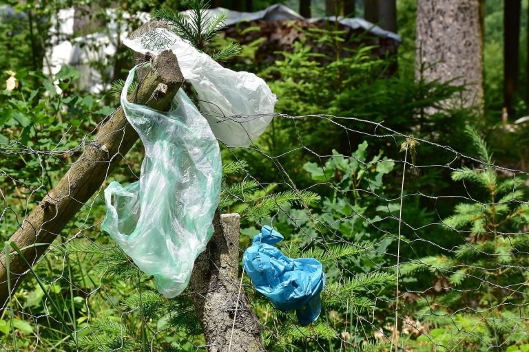 Lebukott illegális szemetelőt vettek videóra az M3-as autópályán