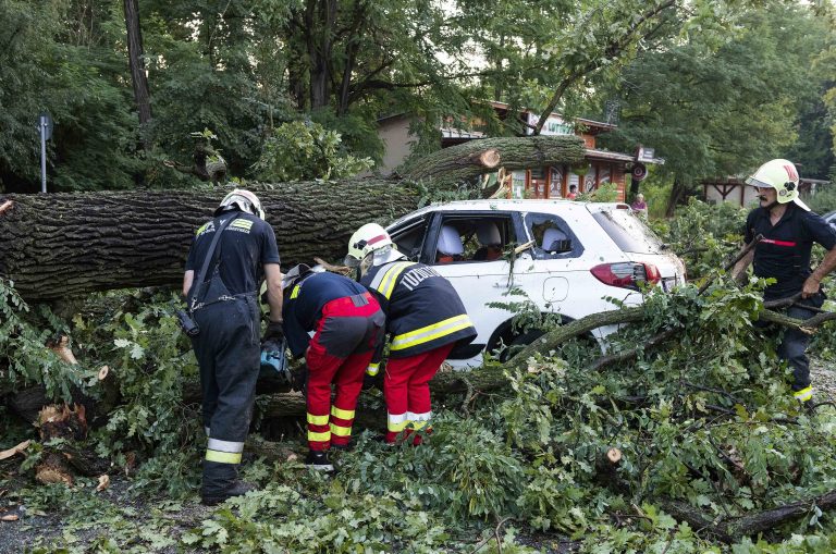 Közel 200 alkalommal riasztották a tűzoltókat viharkárok miatt