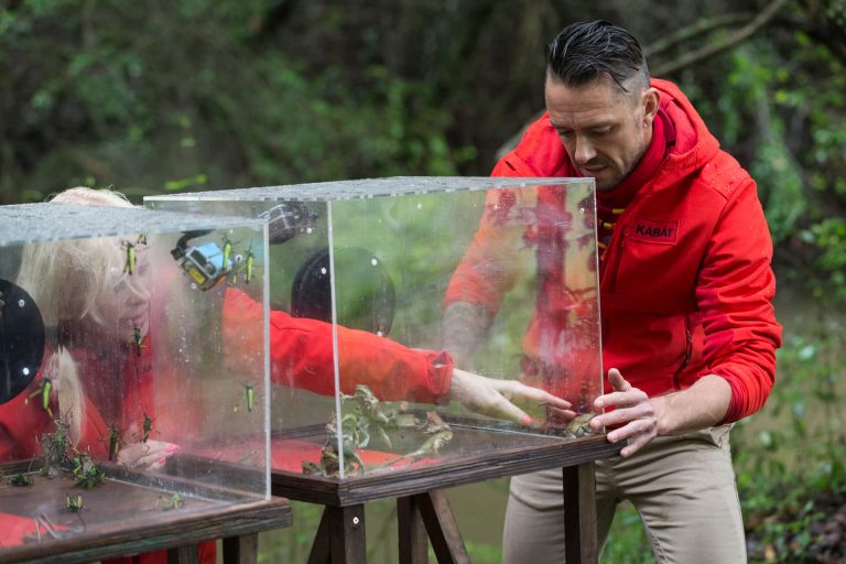 Survivor: Kabát Peti nem viccel, ez kemény lesz