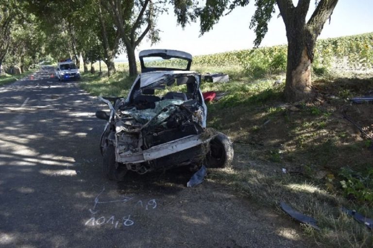 Élve mentették ki a fiatal vezetőt ebből a fának csapódott roncsból (képek)