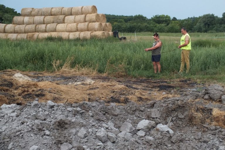 Bosszúból gyújtotta fel munkaadója báláit egy fiatal lovász