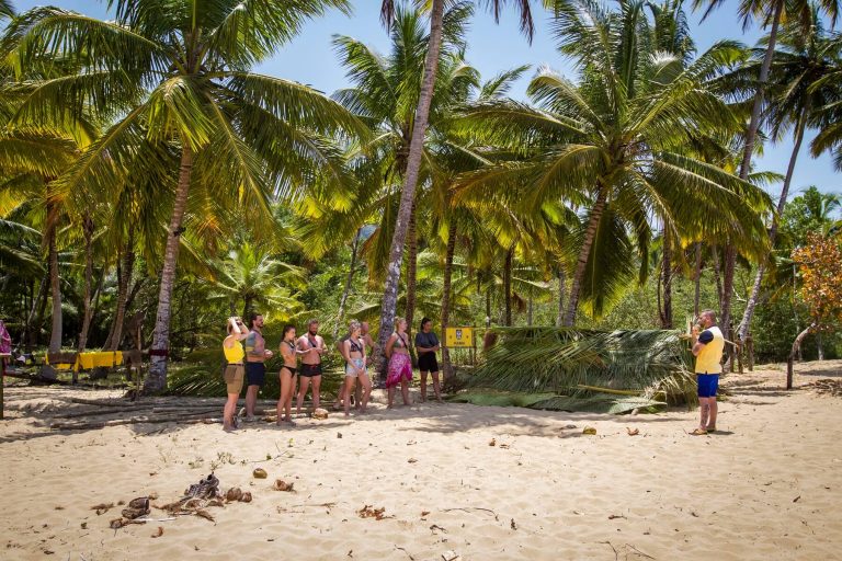 Survivor: baj van, két celeb is rosszul lett (videó)