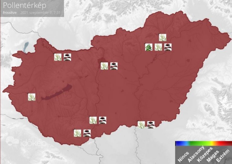 A parlagfű átvette a hatalmat: a pollentérképen az egész ország vörösbe borult