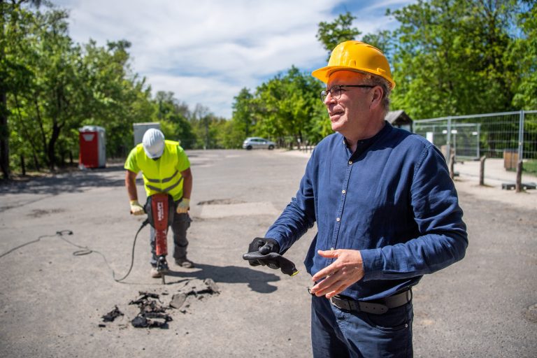 Újabb szakaszhoz ért a Normafa átalakulása