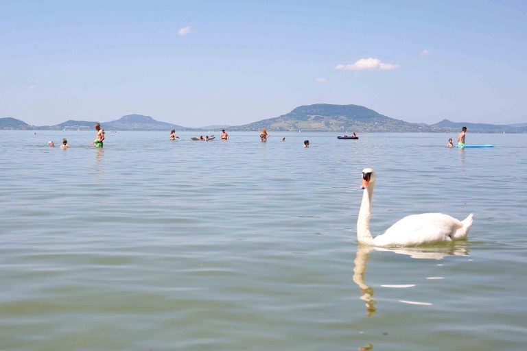 Megkezdődtek a felújítási munkálatok a Balatonnál