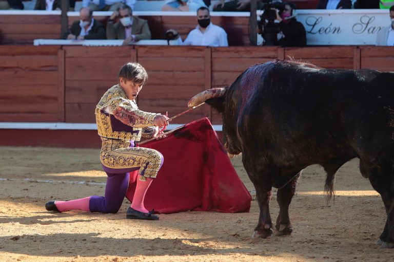 Haláleset történt egy spanyol bikaviadalon, azonnal leállították a versenyt