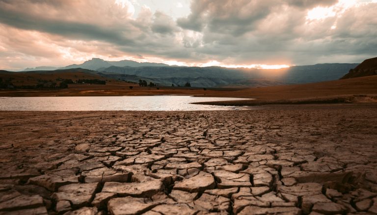 Kaliforniában tombol a szárazság: „Ez szörnyű, és csak rosszabb lesz“
