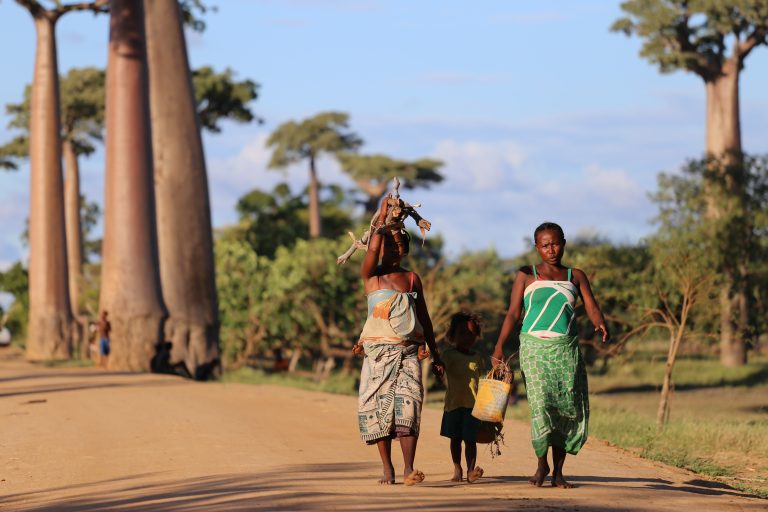 Madagaszkáron elfogyott a víz, az ország az éhínség szélén áll