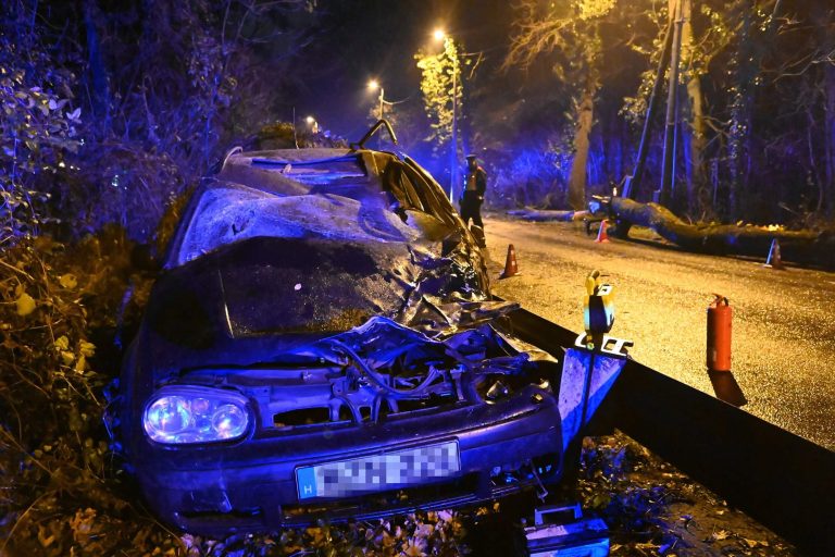 Fa dőlt egy autóra a II. kerületben, egy ember súlyosan megsérült