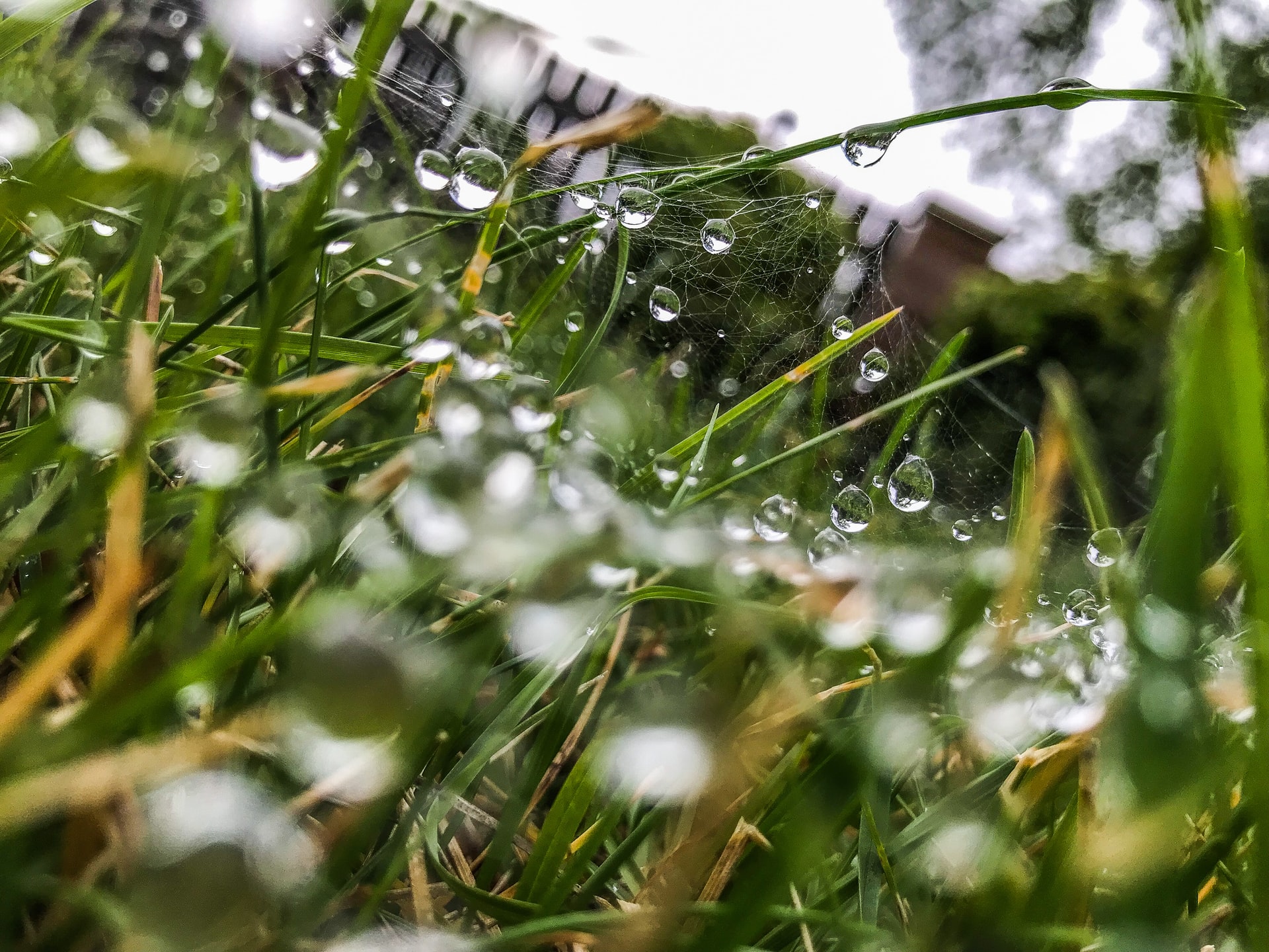 Többnyire felhős időnk lesz csütörtökön