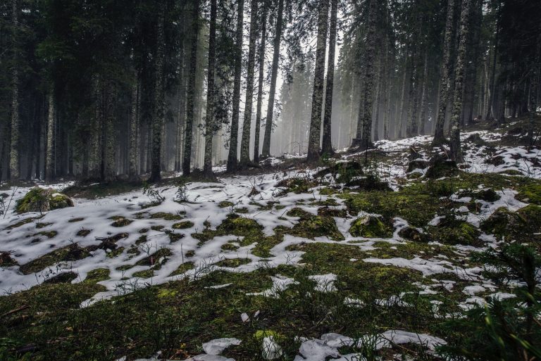 Szomorú vasárnap: borús, csapadékos idő várható hétvégén, néhol havazni is fog