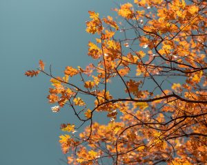 Napos időnk lesz kedden