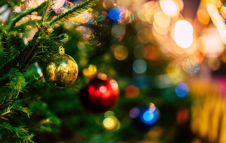 Karácsonyfahiányra számíthatunk az ünnepek előtt